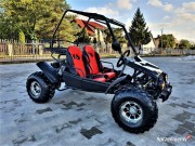 UTV - BUGGY FX 125 a 250