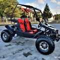 UTV - BUGGY FX 125 a 250