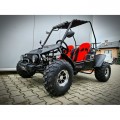 UTV - BUGGY FX 125 a 250