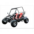 UTV - BUGGY FX 125 a 250