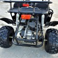 UTV - BUGGY FX 125 a 250