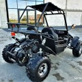 UTV - BUGGY FX 125 a 250