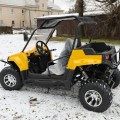 Buggy UTV 300ccm