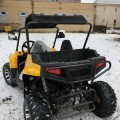 Buggy UTV 300ccm